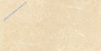 Gạch ốp lát Ý Mỹ 60x120 P6128009