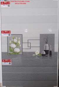 Gạch ốp tường giá rẻ 30x60 3613