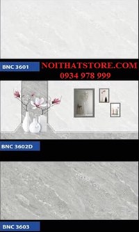Gạch ốp tường giá rẻ 30x60 BNC 3603