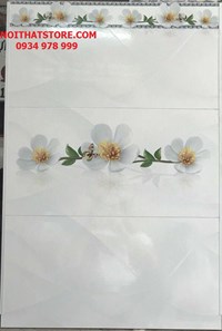 Gạch ốp tường giá rẻ 30x60 BNC3634