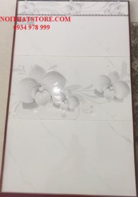 Gạch ốp tường giá rẻ 30x60 BT 3601