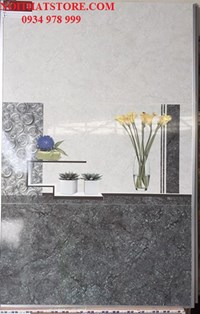 Gạch ốp tường giá rẻ 30x60 CE 3601