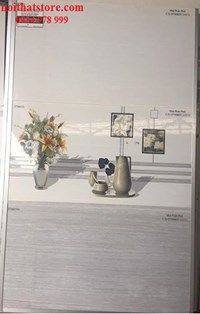 Gạch ốp tường giá rẻ 30x60 ST 3601