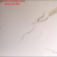 Gạch vi tinh ngọc thạch Ấn Độ 80x80 VA88018