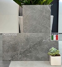 Đá đồng chất lát sân vườn Apodio 30x60 PA12367005