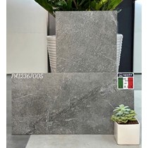Đá đồng chất lát sân vườn Apodio 30x60 PA12367005