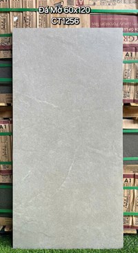 Gạch ốp lát Á Mỹ 60x120 mờ CT1256