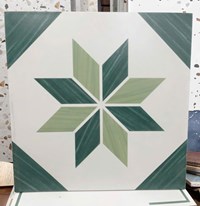 Gạch bông đá mờ giả cổ 30x30 30516L