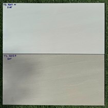 Đá ốp tường Vitaly 30x60 mờ TK3603N-TK3603D