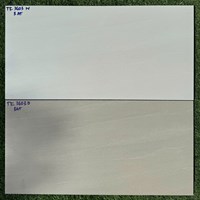 Đá ốp tường Vitaly 30x60 mờ TK3603N-TK3603D