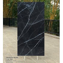 Gạch Tasa 90x180 bóng 9721