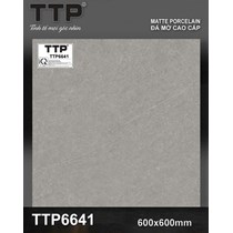 Gạch lát nền Tô Thành Phát 60x60 mờ TTP6641