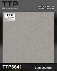 Gạch lát nền Tô Thành Phát 60x60 mờ TTP6641