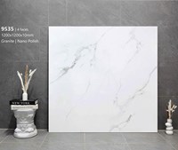 Gạch lát nền Tasa 120x120 9535