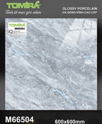 Gạch lát nền Tô Thành Phát 60x60 bóng M66504