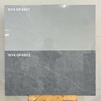 Gạch ốp tường Viglacera 40x80 bóng NY4 GP4801-GP4802