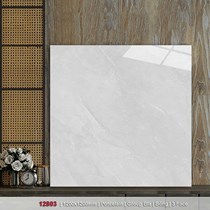 Gạch lát nền Catalan 120x120 12803