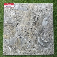 Gạch lát nền giá rẻ 60x60 Catalan 61041