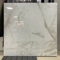 Gạch lát nền Viglacera 100x100 ST26 P101001