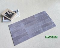 Gạch trang trí decor 40x80 MF48L09C