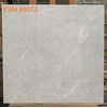 Gạch lát nền Granite Vitaly 60x60 mờ VSM 66013