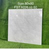 Gạch lát nền Tasa 80x80 bóng FST.9226