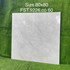 Gạch lát nền Tasa 80x80 bóng FST.9226