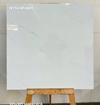 Gạch ốp tường Viglacera 40x80 bóng NY14 GP4801