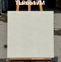 Gạch lát nền Granite Vitaly 60x60 mờ TLP6617M