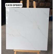 Gạch lát nền Viglacera 80x80 CA19 GP8801