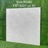 Gạch lát nền Tasa 80x80 bóng FST.9227
