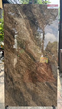 Gạch ốp lát Catalan 60x120 bóng 1274