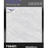 Gạch lát nền Tô Thành Phát 60x60 bóng F66401