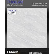 Gạch lát nền Tô Thành Phát 60x60 bóng F66401