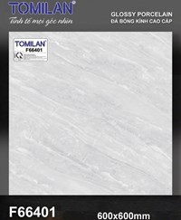 Gạch lát nền Tô Thành Phát 60x60 bóng F66401