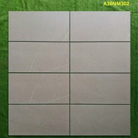 Gạch ốp tường Apodio 30x60 mờ A36NM302