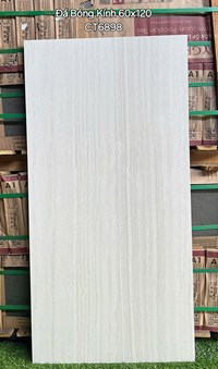 Gạch ốp lát Á Mỹ 60x120 CT6898