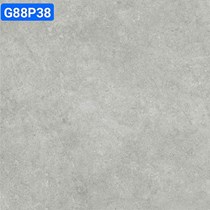 Gạch lát nền Taicera 80x80 mờ G88P38