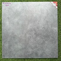 Gạch lát nền Prime 60x60 mờ TP15161M