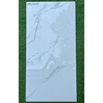 Gạch ốp lát Ấn Độ 60x120 APK120360