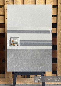 Gạch ốp tường giá rẻ 30x60 Hà Thanh mờ 3805