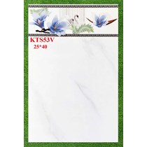 Gạch ốp tường giá rẻ 25x40 KTS53V
