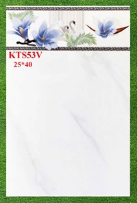 Gạch ốp tường giá rẻ 25x40 KTS53V