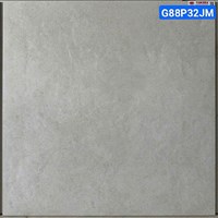 Gạch lát nền Taicera 80x80 mờ G88P32JM