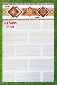 Gạch ốp tường giá rẻ 25x40 KTS48V