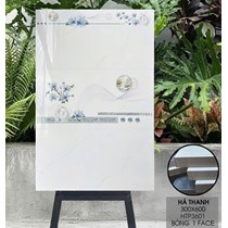 Gạch ốp tường Hà Thanh 30x60 bóng HTP3601