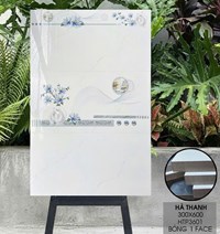 Gạch ốp tường Hà Thanh 30x60 bóng HTP3601
