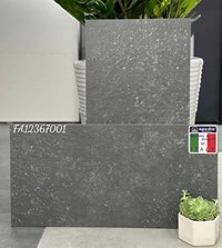 Đá đồng chất lát sân vườn Apodio 30x60 FA12367001