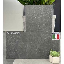 Đá đồng chất lát sân vườn Apodio 30x60 FA12367001