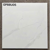 Gạch lát nền Taicera 80x80 GP88U05